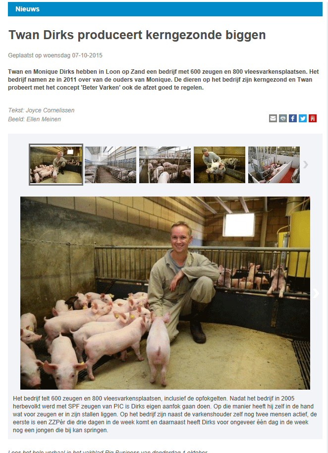 artikel-pig-business